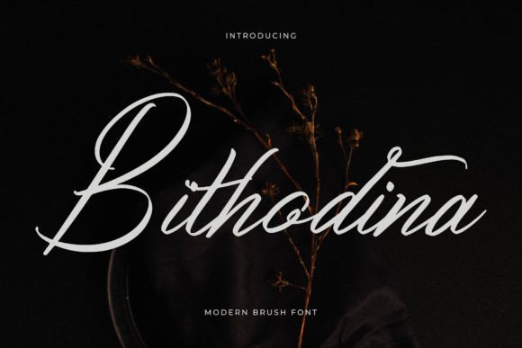 Bithodina: A Timeless Script Font for Crafters and Designers