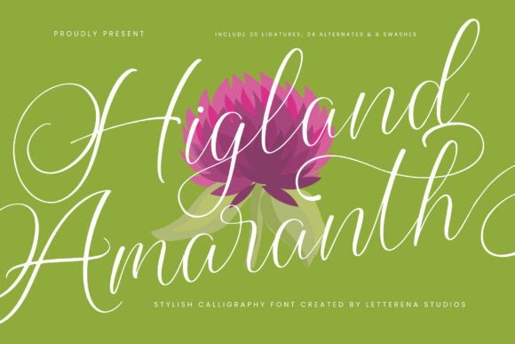 Font Choice That Shapes Your Campaign
