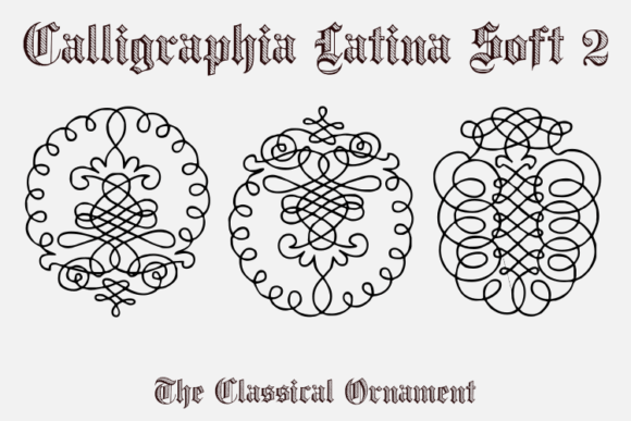 How Calligraphia Latina Soft 2 Transformed My Bakery’s Brand
