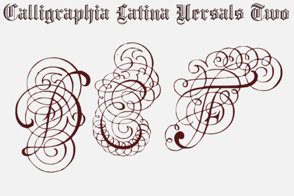 Transform Your Brand with Calligraphia Latina Versals Two