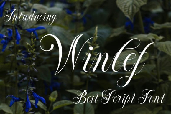Winlef: A Script Font That Elevates Digital Branding
